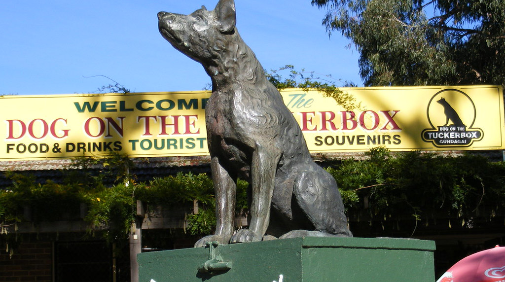 Dog on the Tucker Box